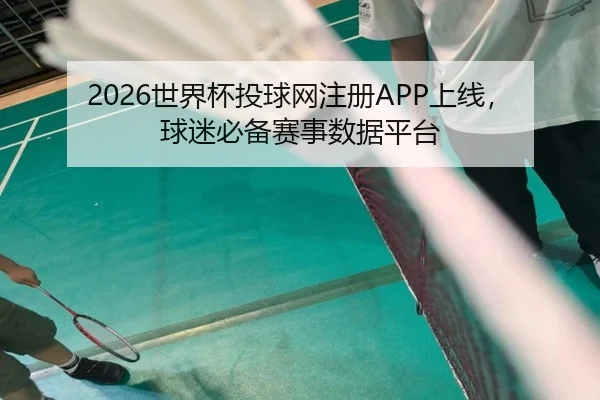 2026世界杯投球网注册APP上线，球迷必备赛事数据平台