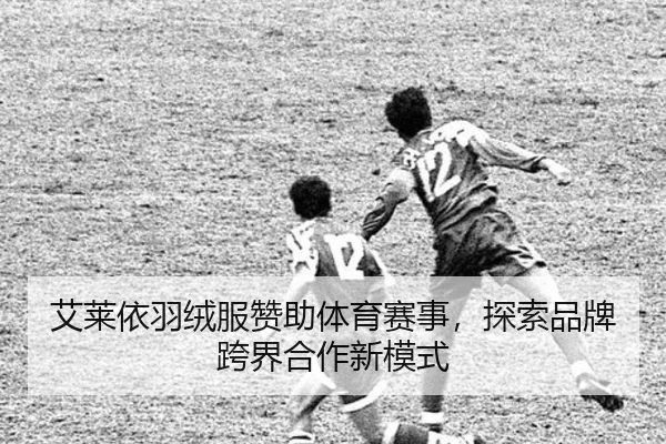 艾莱依羽绒服赞助体育赛事，探索品牌跨界合作新模式