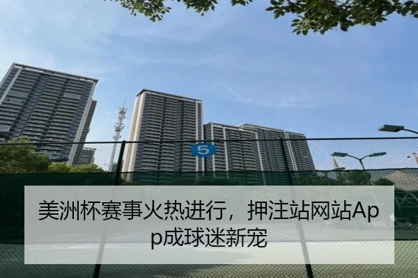 美洲杯赛事火热进行，押注站网站App成球迷新宠