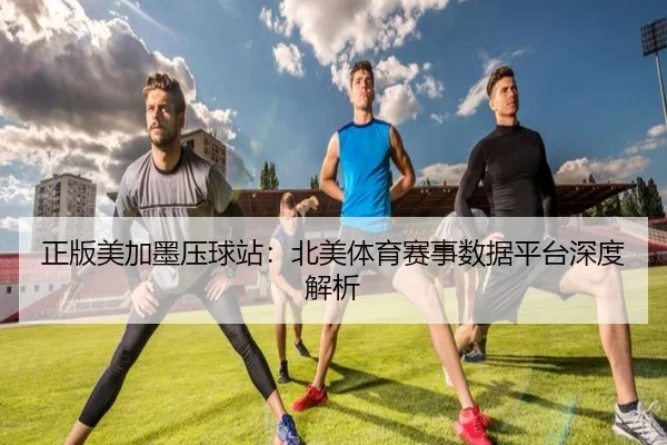 正版美加墨压球站：北美体育赛事数据平台深度解析