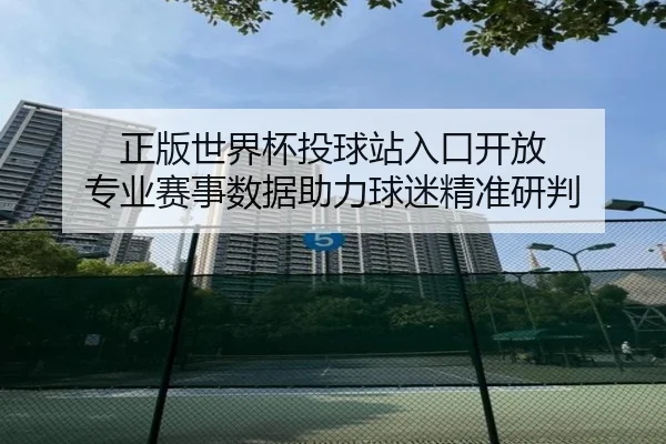 正版世界杯投球站入口开放 专业赛事数据助力球迷精准研判